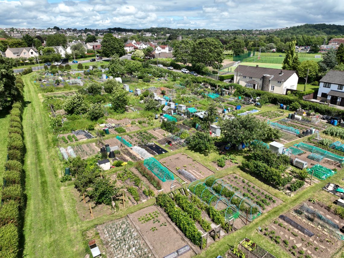 allotment
